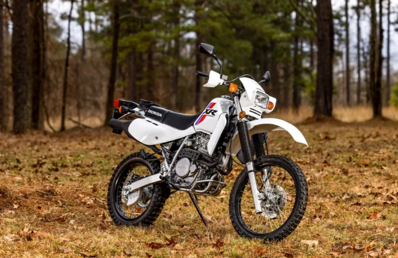 2025 Honda XR650L Dual Sport Tanıtımı